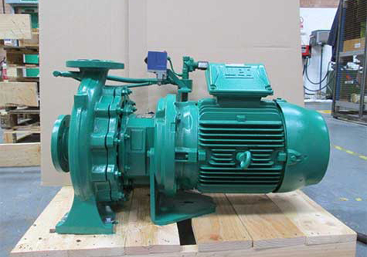 Ballast Water Pump