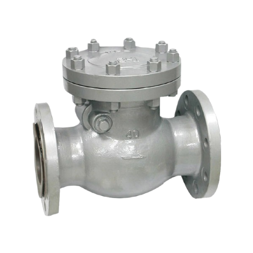 CI Swing Check Valve CL150