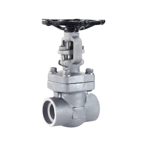 SS Forged Steel Gate Valve