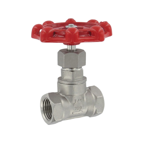 SS Low Pressure Globe Valve 200