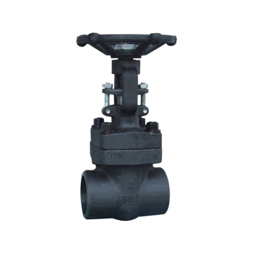 SS_MS Forged Steel 800 Valve